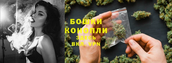 шишки Нягань