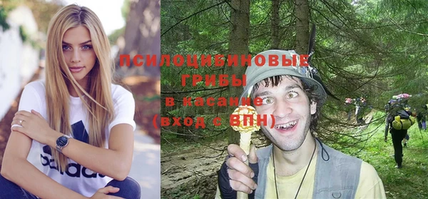 трава Няндома
