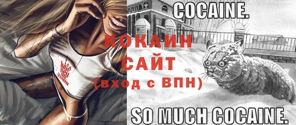 трава Няндома