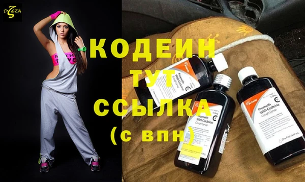 трава Няндома