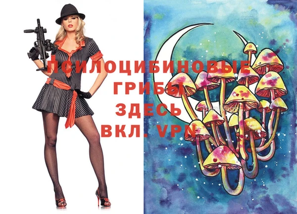 шишки Нягань