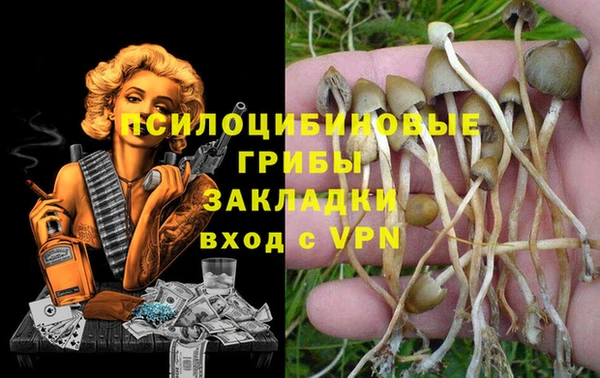Альфа ПВП Заполярный