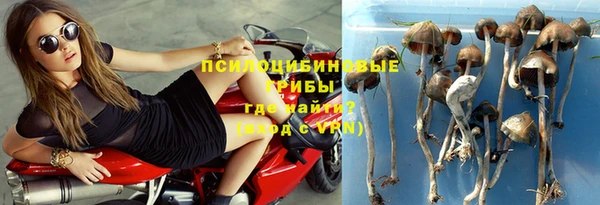 метадон Осташков