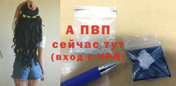 трава Няндома