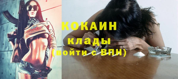 трава Няндома
