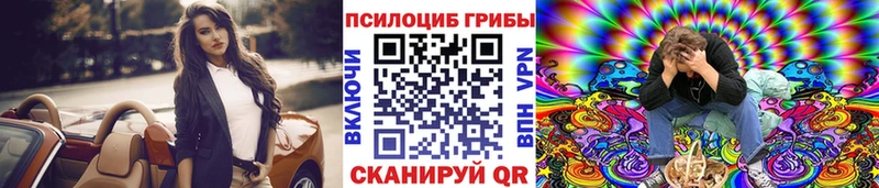 Псилоцибиновые грибы Psilocybe  что такое   MEGA ссылки  Калининск 