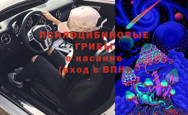 Галлюциногенные грибы Psilocybe  гидра ТОР  Калининск 